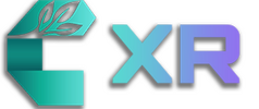 CASSANA FUTUREWORK - INTERACTIVE MEDIA DEVELOPER